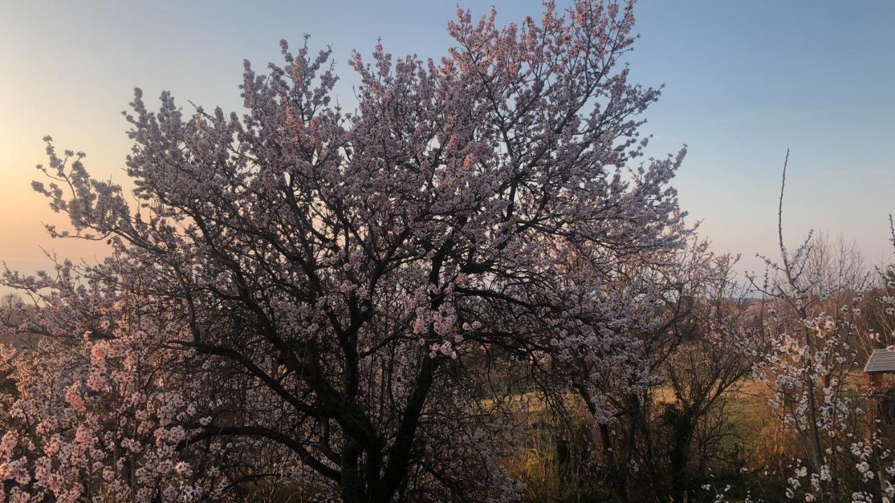 Balatongyörök Panorama Balaton 빌라 외부 사진